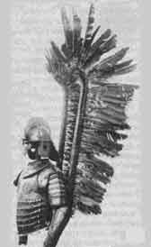 Polish hussar's armour